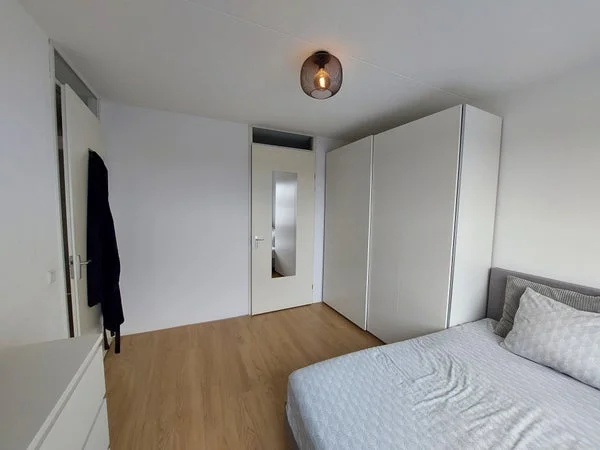 Rental property 4