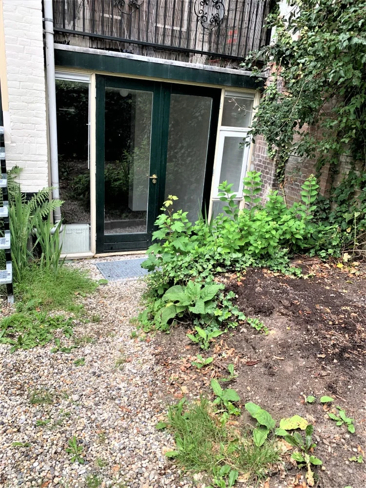 Rental property 4