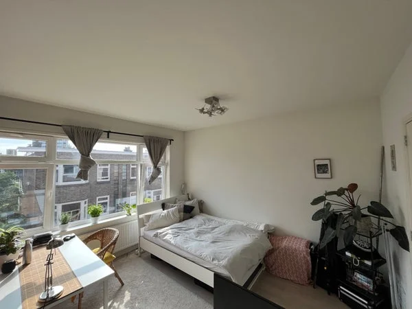 Rental property 4