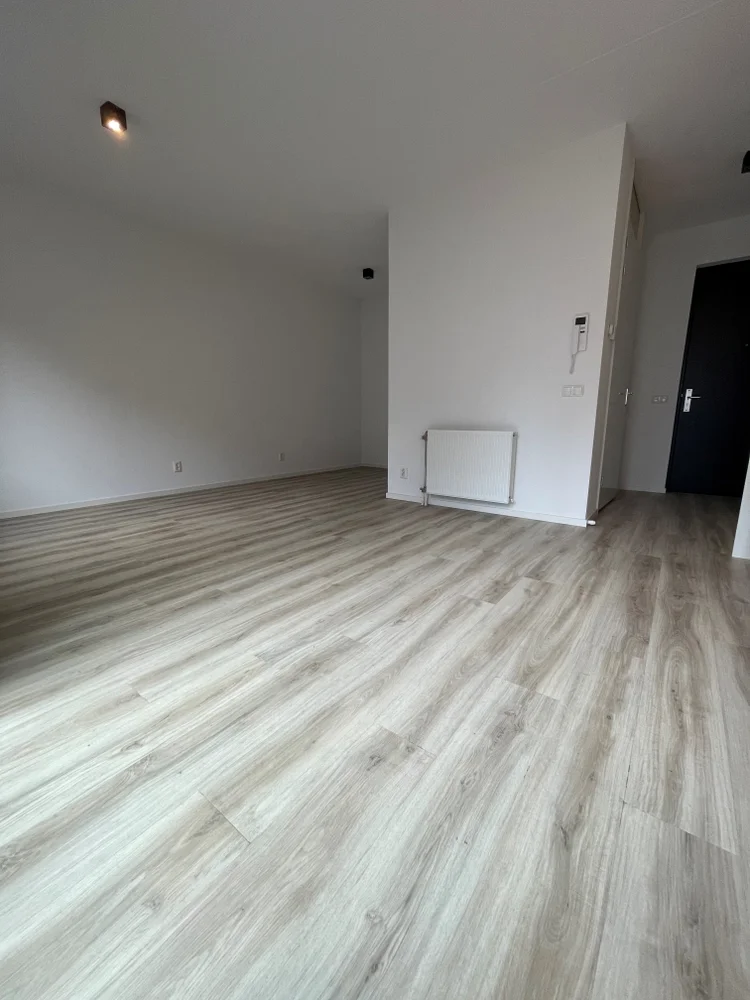 Rental property 4