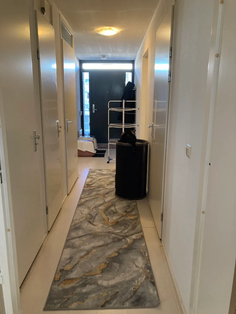 Rental property 4