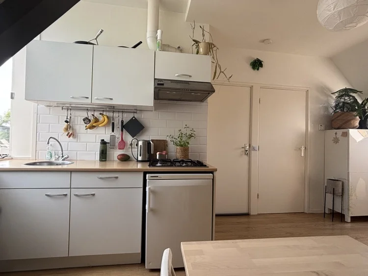 Rental property 4