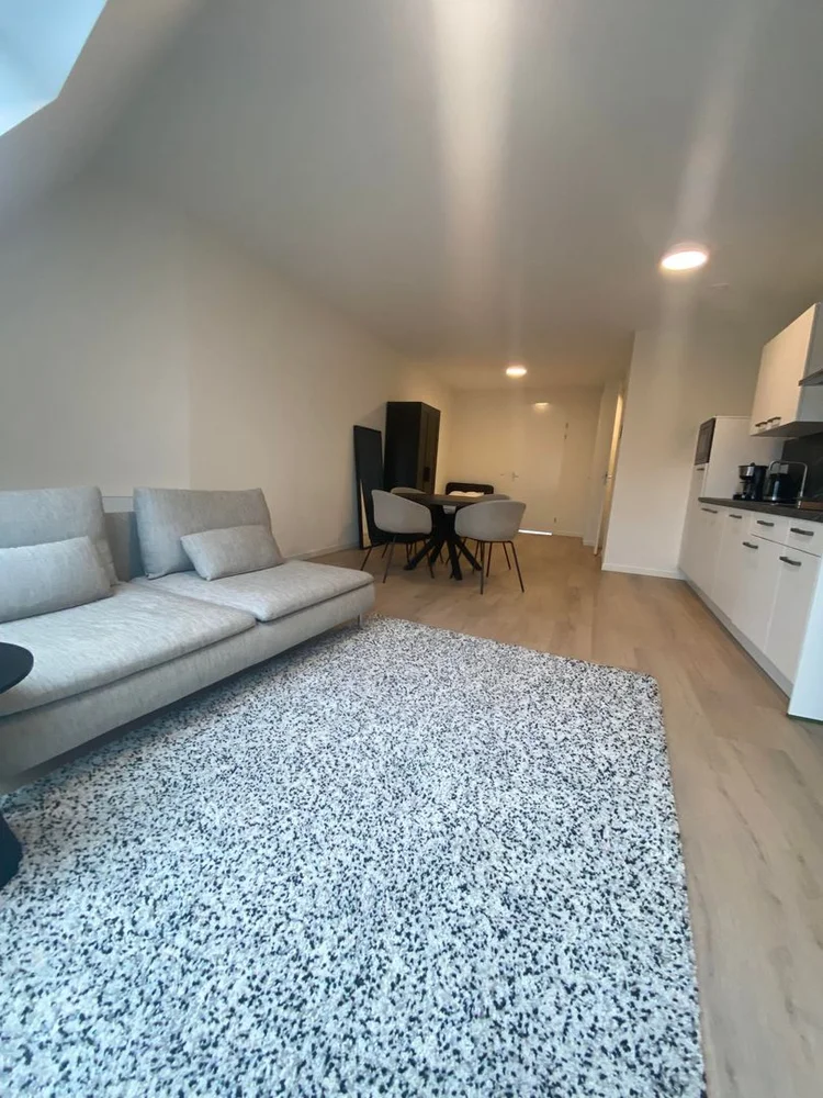 Rental property 4
