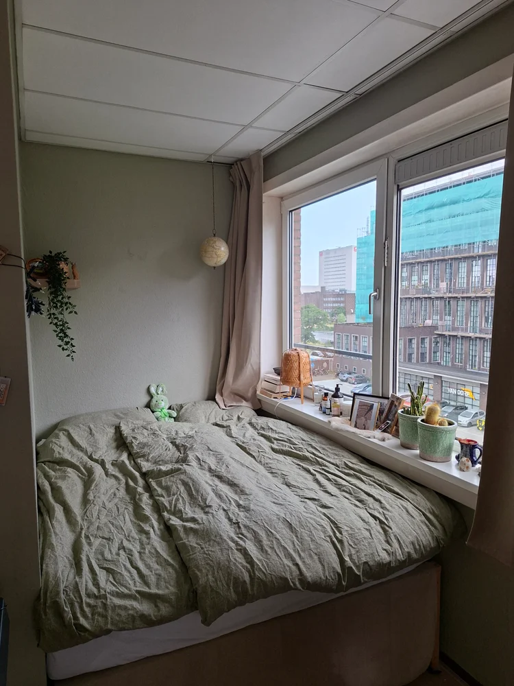 Rental property 4