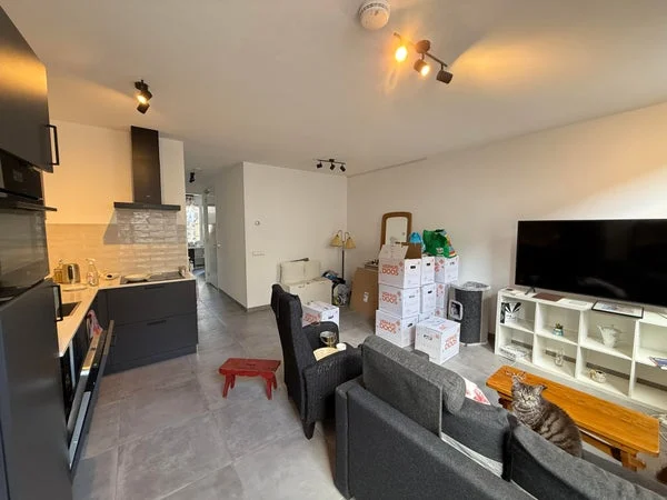Rental property 4
