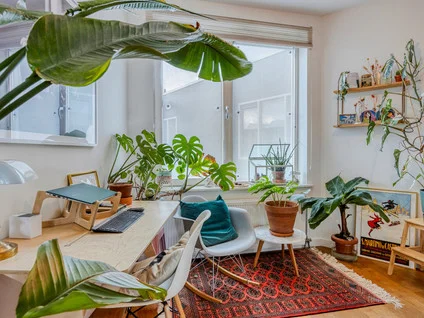 Rental property 4