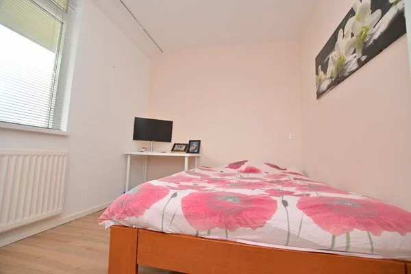 Rental property 4