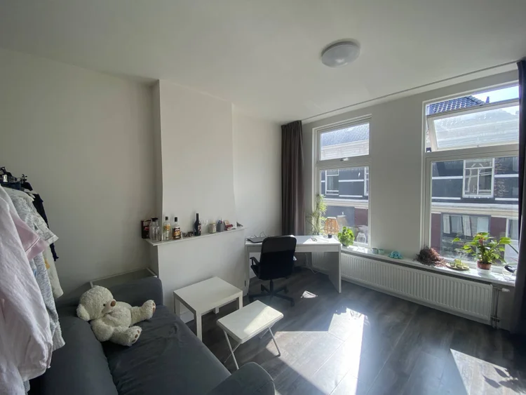 Rental property 4