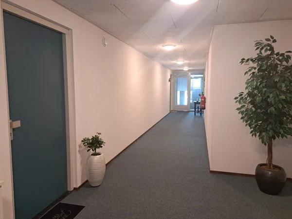 Rental property 4