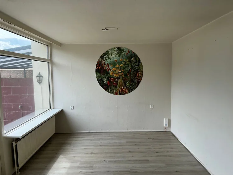 Rental property 4