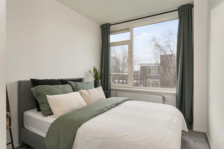 Rental property 4