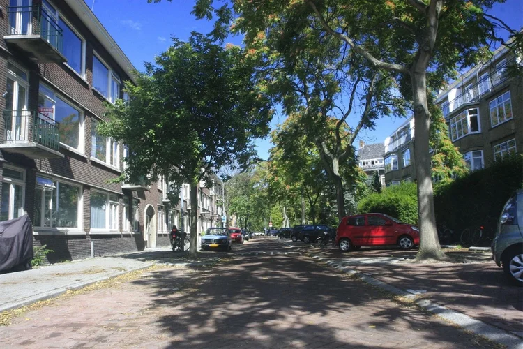 Rental property 4