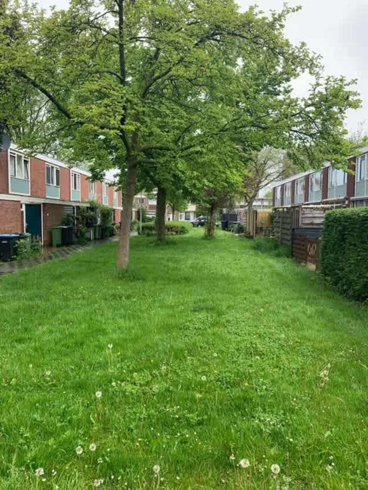 Rental property 4