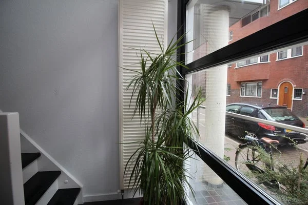 Rental property 4