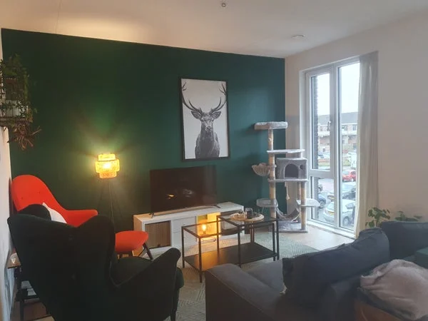 Rental property 4