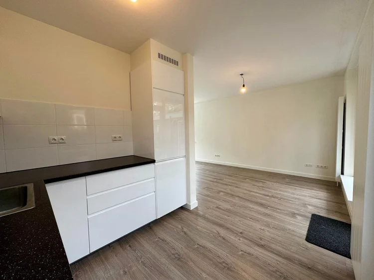 Rental property 4