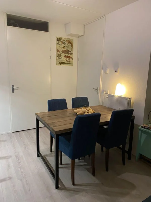 Rental property 4