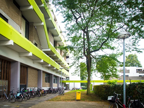 Rental property 4