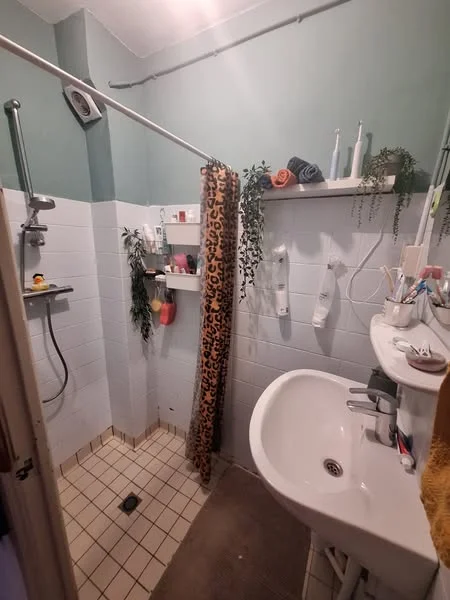 Rental property 4