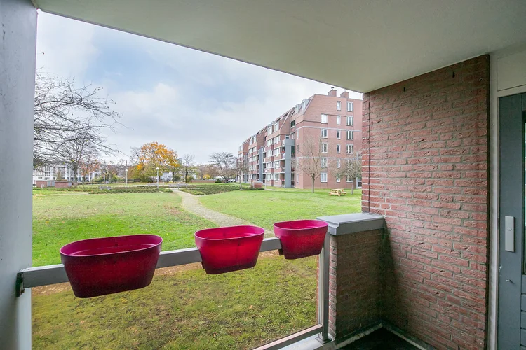 Rental property 4