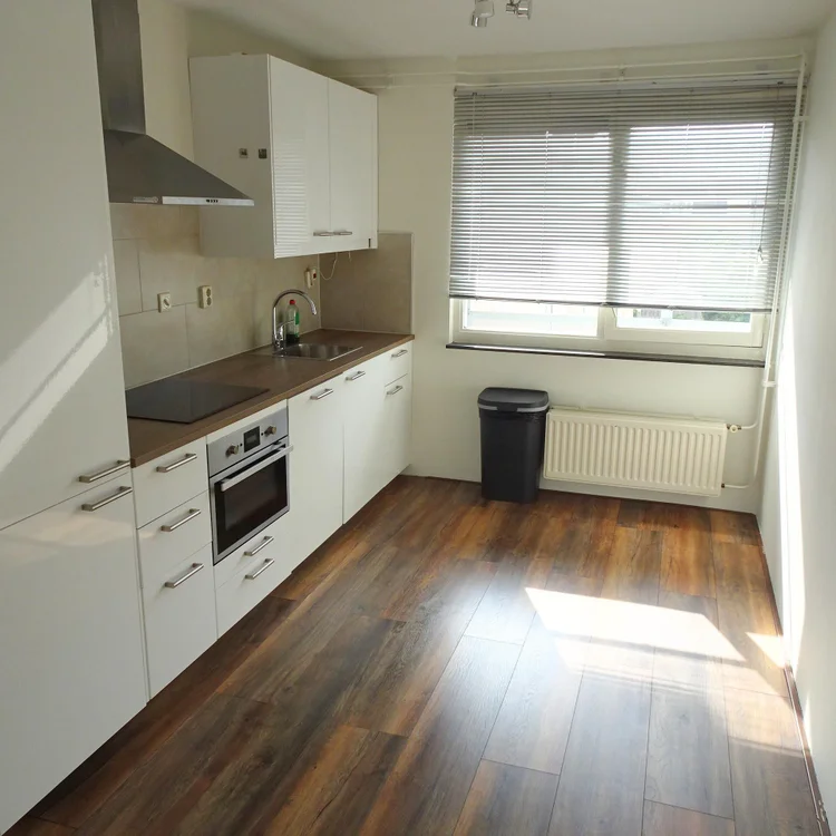 Rental property 4