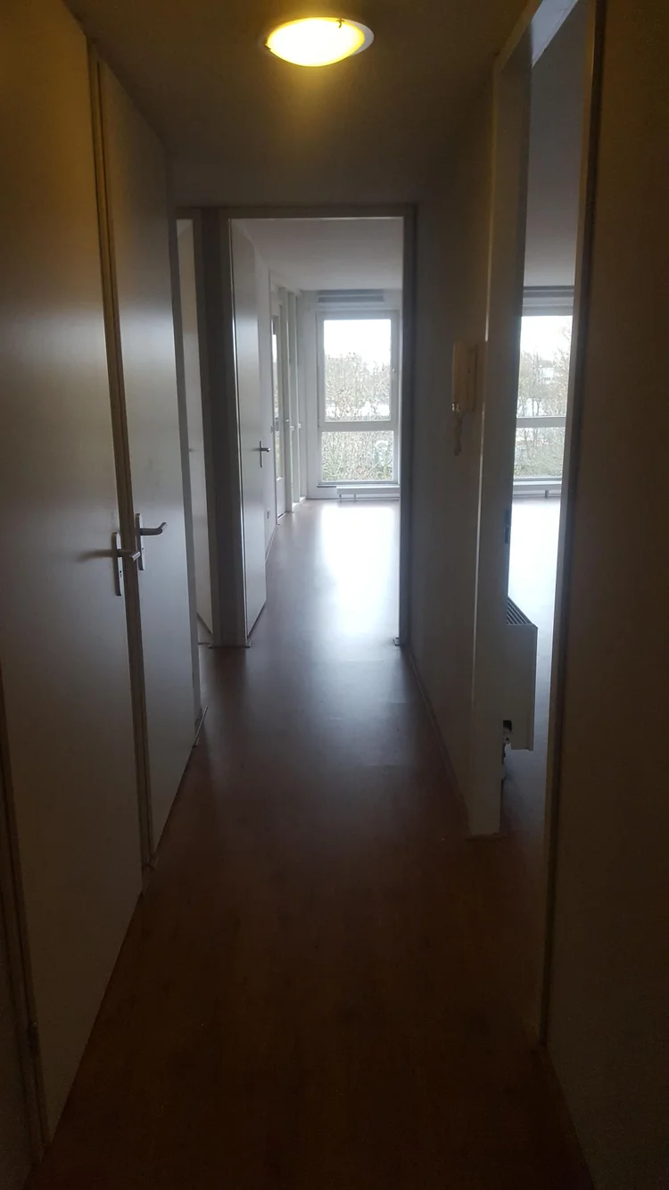 Rental property 4