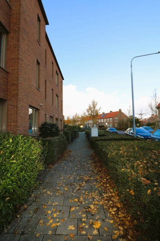 Rental property 4