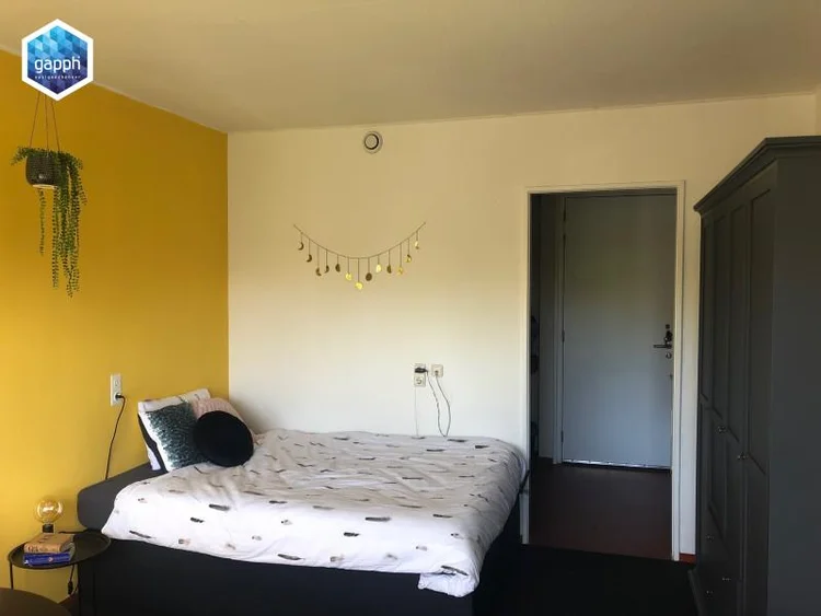 Rental property 4