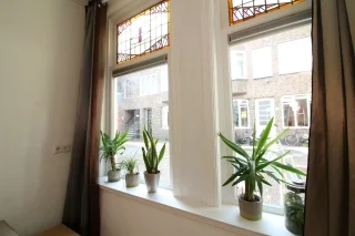 Rental property 4
