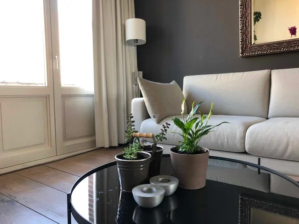 Rental property 4