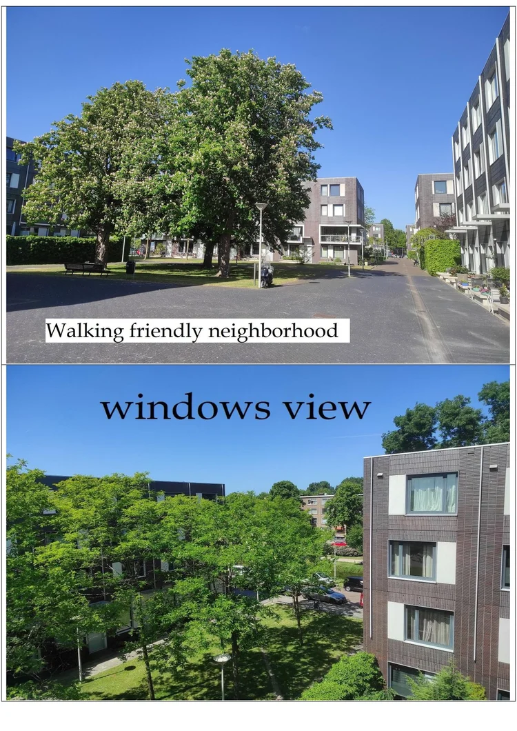 Rental property 4