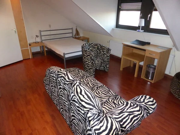 Rental property 4