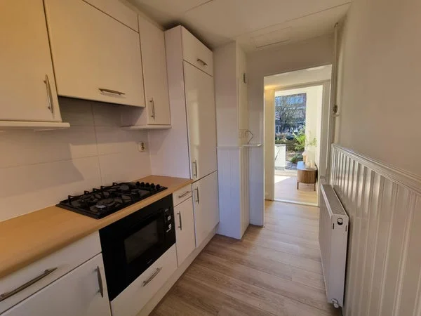 Rental property 5