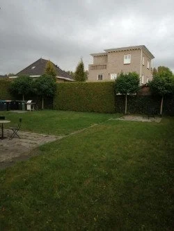 Rental property 4