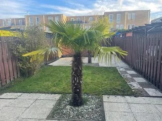 Rental property 2