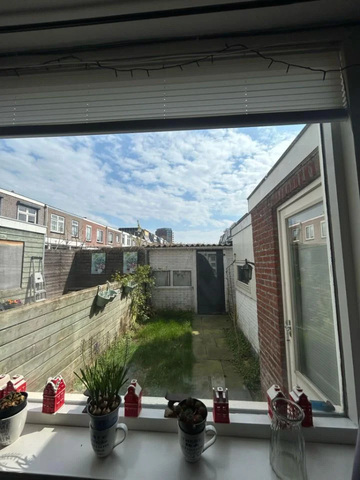 Rental property 5