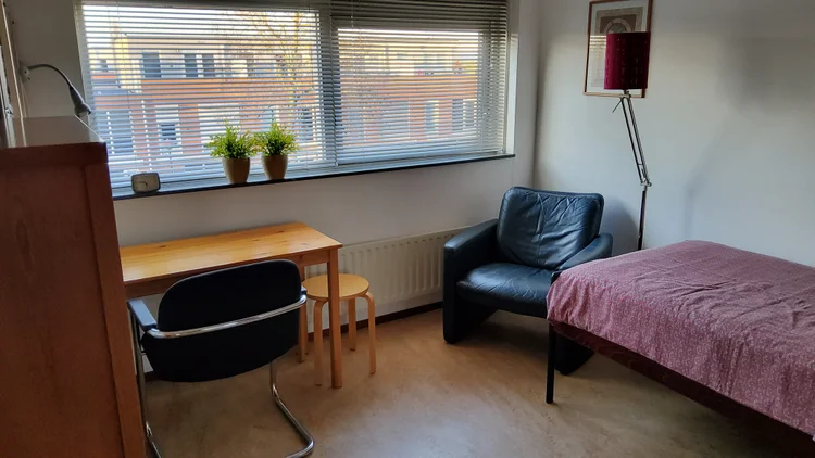 Rental property 5