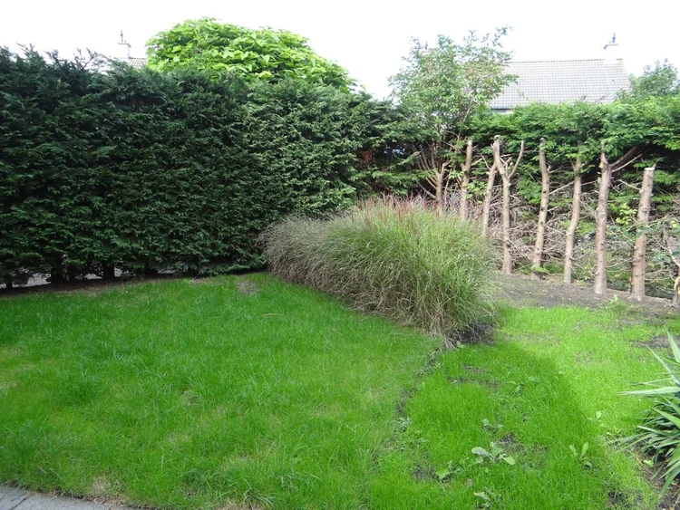 Rental property 2