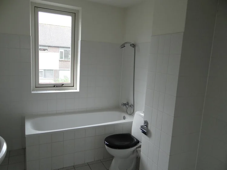 Rental property 5