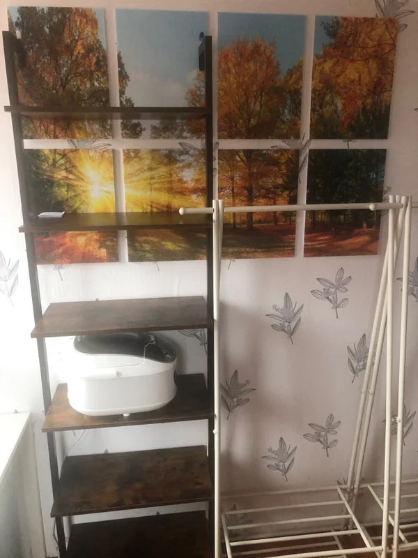 Rental property 5