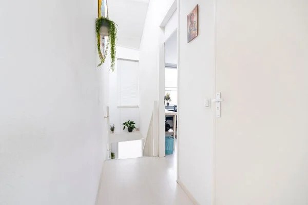 Rental property 4