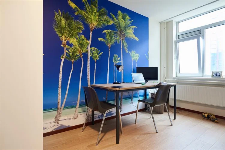 Rental property 5