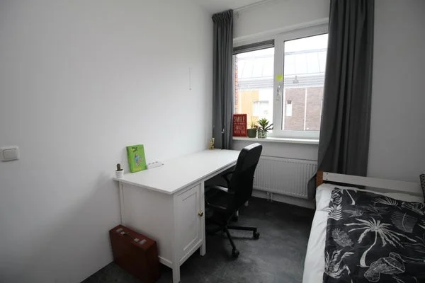 Rental property 2