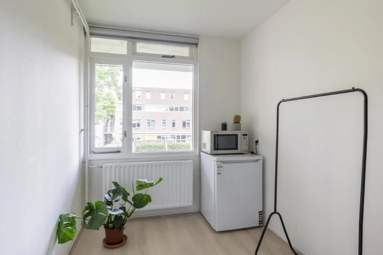 Rental property 5