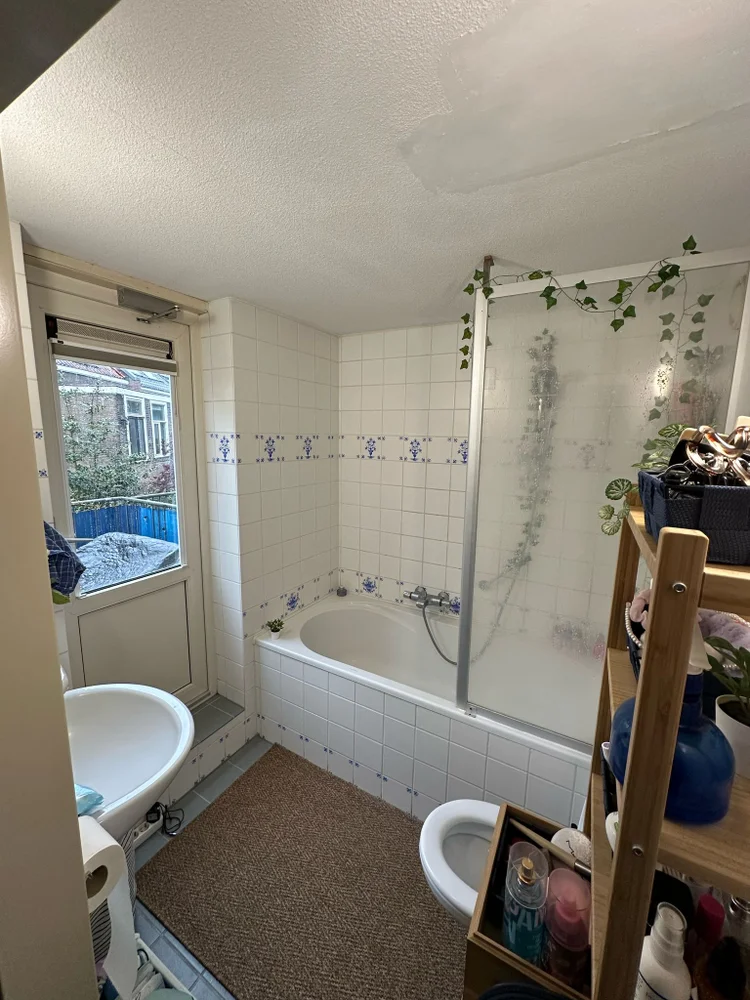 Rental property 2