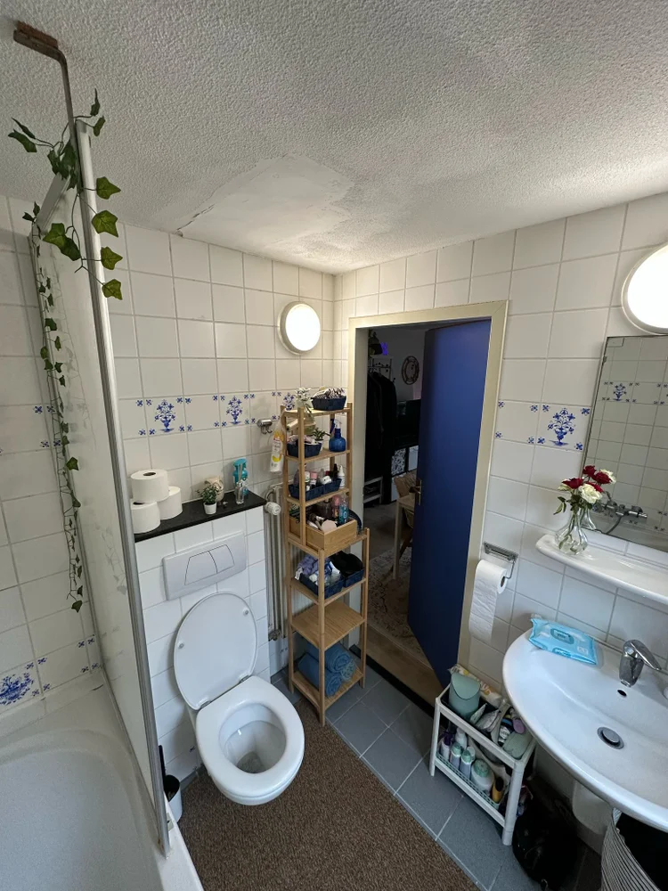 Rental property 3