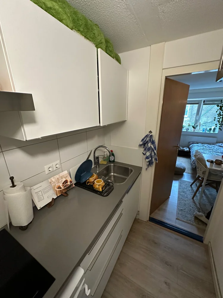Rental property 4