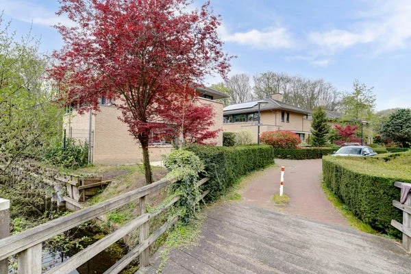Rental property 2