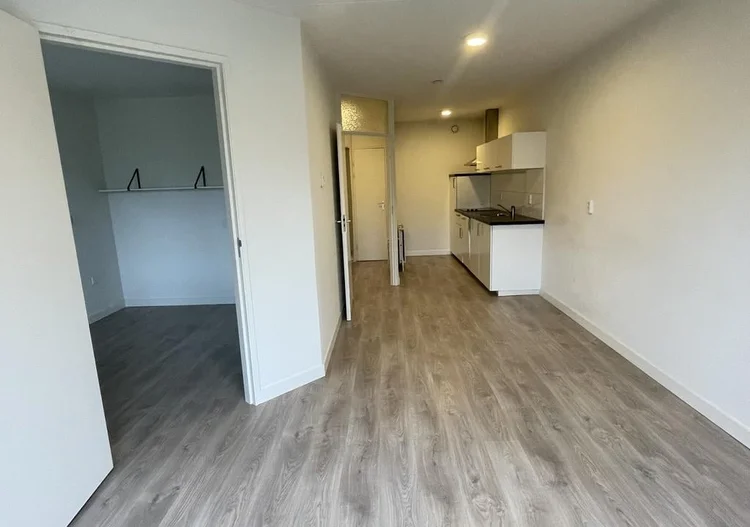 Rental property 5