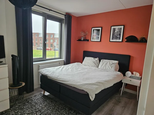 Rental property 5